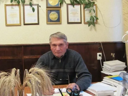 Жито яку ми втратили, сайту зерно (зерно) Жито яку ми втратили, сайту зерно