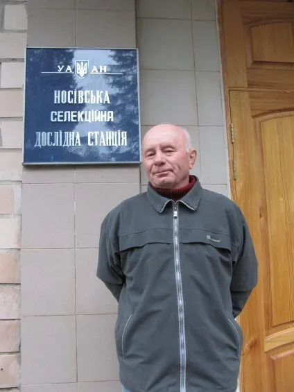 Жито яку ми втратили, сайту зерно (жито) Жито яку ми втратили, сайту зерно