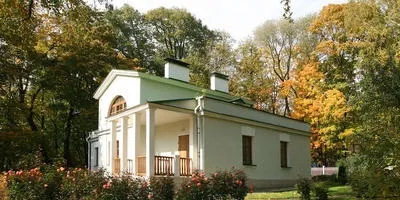 Сад - догляд, посадка і вирощування квітів та інших рослин (рослин) Сад - догляд, посадка і вирощування квітів та інших рослин