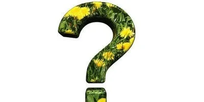 Сад - догляд, посадка і вирощування квітів та інших рослин (квітів) Сад - догляд, посадка і вирощування квітів та інших рослин