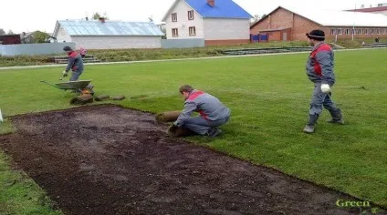 Рулонний газон своїми руками ідеальна галявина за короткі терміни (руками) Рулонний газон своїми руками ідеальна галявина за короткі терміни