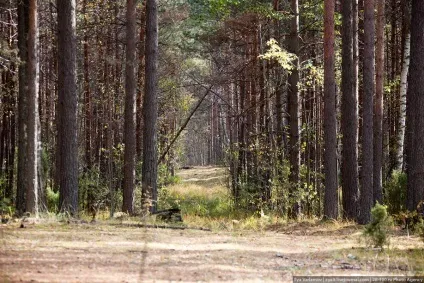 Рязансько-володимирська вузькоколійна залізниця (дорога) Рязансько-володимирська вузькоколійна залізниця