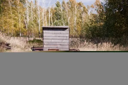 Рязансько-володимирська вузькоколійна залізниця (залізна) Рязансько-володимирська вузькоколійна залізниця