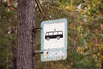 Рязансько-володимирська вузькоколійна залізниця (вузькоколійна залізниця) Рязансько-володимирська вузькоколійна залізниця