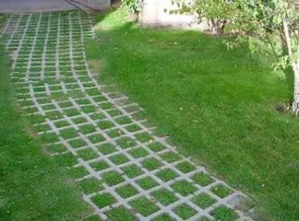 Садова доріжка з підручних матеріалів своїми руками (доріжки) Садова доріжка з підручних матеріалів своїми руками