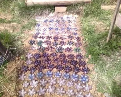 Садова доріжка з підручних матеріалів своїми руками (підручного) Садова доріжка з підручних матеріалів своїми руками