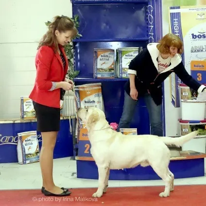 Ru-pets - все про домашніх вихованців