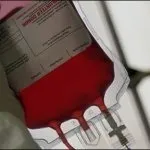 Найважливіші м'язи тіла, відповіді на питання
