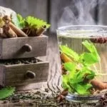 Селітерний черв'як в людині симптоми