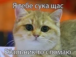 Сьогодні я вам розповім, чому потрібно позбавлятися від кішок (Розкрити гілка Розкрити) Сьогодні я вам розповім, чому потрібно позбавлятися від кішок