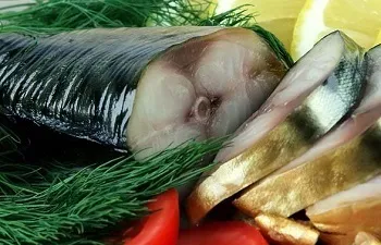 Оселедець користь і шкода, корисні властивості риби та ікри для організму і протипоказання (чим корисна оселедець для організму) Оселедець користь і шкода, корисні властивості риби та ікри для організму і протипоказання