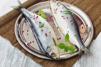Оселедець користь і шкода, корисні властивості риби та ікри для організму і протипоказання (шкода оселедця) Оселедець користь і шкода, корисні властивості риби та ікри для організму і протипоказання