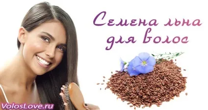 Насіння льону для волосся 9 масок та відгуки про застосування (масок) Насіння льону для волосся 9 масок та відгуки про застосування