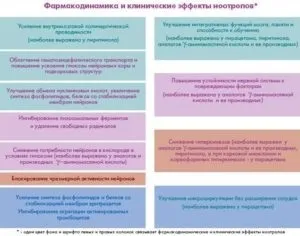 Сильне запаморочення у людей похилого віку - лікування, препарати і народ (лікування) Сильне запаморочення у людей похилого віку - лікування, препарати і народ