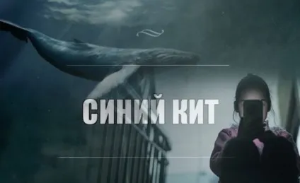 Синій кит гра група смерті тихий будинок що це правила гри (гра) Синій кит гра група смерті тихий будинок що це правила гри