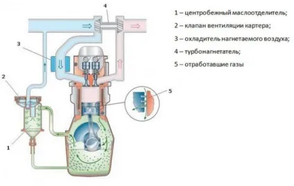 Система вентиляції картера маслоотделитель, шланг, патрубок (вентиляції) Система вентиляції картера маслоотделитель, шланг, патрубок