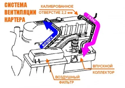 Система вентиляції картера маслоотделитель, шланг, патрубок (шланг) Система вентиляції картера маслоотделитель, шланг, патрубок