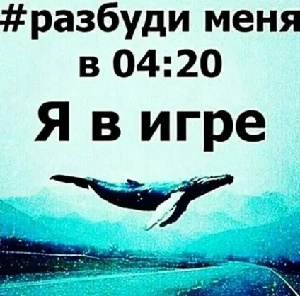 Синій кит гра група смерті тихий будинок що це правила гри (смерті) Синій кит гра група смерті тихий будинок що це правила гри