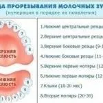 Скільки калорій в тушкованої капусти з куркою