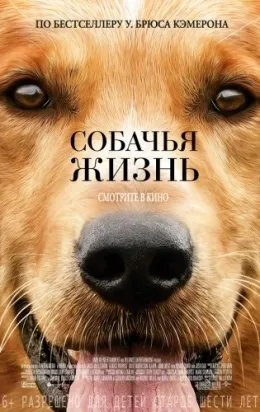 Дивитися фільми онлайн безкоштовно в хорошій якості (онлайн) Дивитися фільми онлайн безкоштовно в хорошій якості