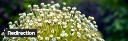 Складаючи в wordpress що собою представляють, як з ними працювати, все про wordpress (wordpress) Складаючи в wordpress що собою представляють, як з ними працювати, все про wordpress