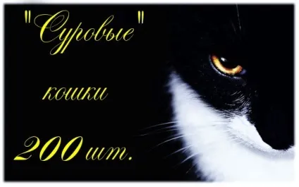 Смішні коти-200 штук позитиву (смішні) Смішні коти-200 штук позитиву