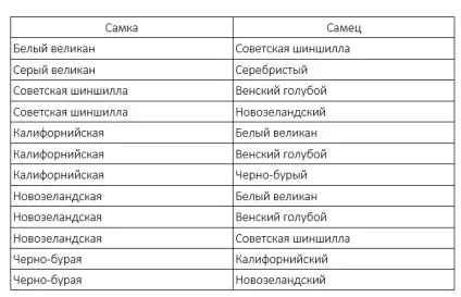 Схрещування кроликів різних порід як і в якому віці (порід) Схрещування кроликів різних порід як і в якому віці