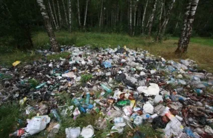 Скільки років розкладаються різні види сміття, почитати (скільки) Скільки років розкладаються різні види сміття, почитати