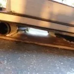 Собака з пап'є-маше покроковий майстер-клас, відео (собака) Собака з пап'є-маше покроковий майстер-клас, відео