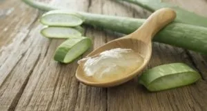 Сік алое від нежиті дорослим лікування, як закопувати і як приготувати краплі (приготувати) Сік алое від нежиті дорослим лікування, як закопувати і як приготувати краплі