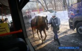 Сонник автобус, тлумачення сну автобус, до чого сниться і що означає сон, в якому наснилося