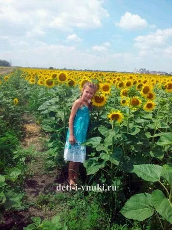 Сонячна квітка