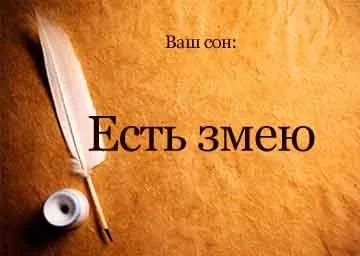 Сонник є змію уві сні бачити до чого сниться (сонник є змія що снитися сонник змій сон їсти зміїна бути наснитися) Сонник є змію уві сні бачити до чого сниться