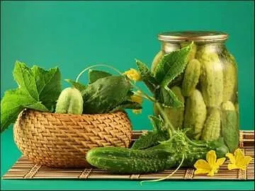 Солоні огірки, енциклопедія рад (запашний перець лавровий лист) Солоні огірки, енциклопедія рад