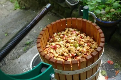 Сік з яблук на зиму - тільки найкращі рецепти фото (рецепти) Сік з яблук на зиму - тільки найкращі рецепти фото