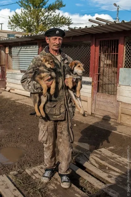 Собачий притулок колишнього кінолога, фото новини (притулок) Собачий притулок колишнього кінолога, фото новини