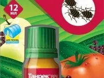 Поради, як боротися з білокрилка в теплиці народні засоби і інші методи, обробка рослин