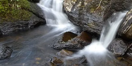 Сонник вода в річці до чого сниться вода в річці уві сні (сонник) Сонник вода в річці до чого сниться вода в річці уві сні