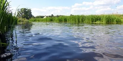 Сонник вода в річці до чого сниться вода в річці уві сні (вода) Сонник вода в річці до чого сниться вода в річці уві сні