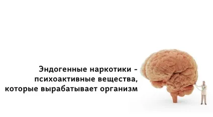 Соціальна психологія в дії ендогенні наркотики - психоактивні речовини, які (ендогенні) Соціальна психологія в дії ендогенні наркотики - психоактивні речовини, які