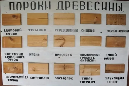 Сорт деревини ав, а, в, с, 1, 2, 3, 4 твердий, відео-інструкція по вибору своїми руками, (дерева своїми руками) Сорт деревини ав, а, в, с, 1, 2, 3, 4 твердий, відео-інструкція по вибору своїми руками,