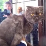 Статистика псковської області як ми живемо (псковської) Статистика псковської області як ми живемо