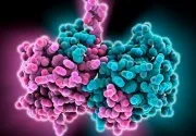 Стати улюбленцем життя нескладно (улюбленцем) Стати улюбленцем життя нескладно