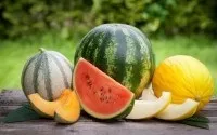 Стати улюбленцем життя нескладно (стати) Стати улюбленцем життя нескладно