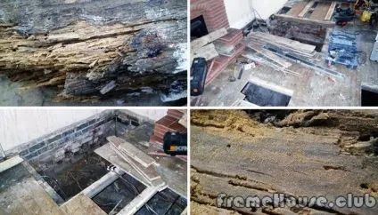 Засоби боротьби з жуками-короїдами - своєчасна обробка деревини до початку будівельних робіт (кошти) Засоби боротьби з жуками-короїдами - своєчасна обробка деревини до початку будівельних робіт