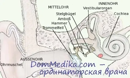 Стапедопластика техніка та етапи операції