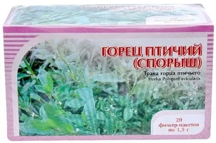 Спориш при безплідді кращі рецепти, протипоказання, відгуки (спориш) Спориш при безплідді кращі рецепти, протипоказання, відгуки