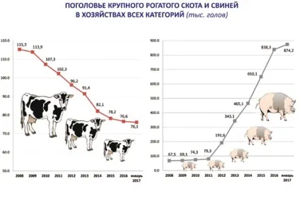 Статистика псковської області як ми живемо (псковська стрічка новин) Статистика псковської області як ми живемо