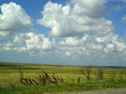 Степу і Лісостепу (степу) Степу і Лісостепу