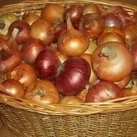 Вірші про квіти, квіткова поезія, flowery-blog (кольорах) Вірші про квіти, квіткова поезія, flowery-blog